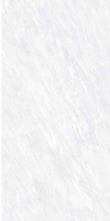OL Vivid White Matte 12 x 24
